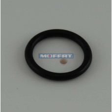 C200843 - O RING WASH JET (ARP13X2)
