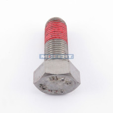 SC42391500 - AUGER BOLT