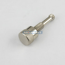 013920 - SECURING SCREW