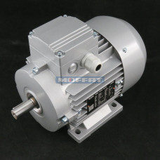 300491 - MOTOR 0.55kW 6 POLE HCS