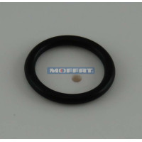 C200844 - O RING RINSE JET (ARP9X2)